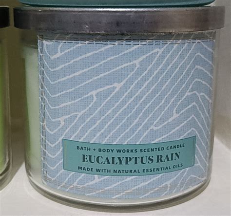 Bath Body Works Accents Bbw Eucalyptus Rain Large Wick Candle