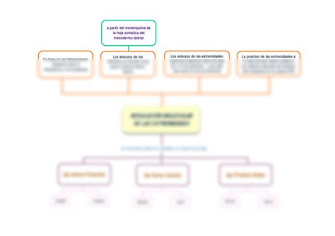 SOLUTION Regulaci N Molecular De Las Extremidades Studypool