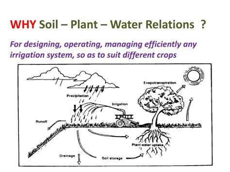 PPT SOIL PLANT WATER RELATIONSHIPS Et O Crop Water