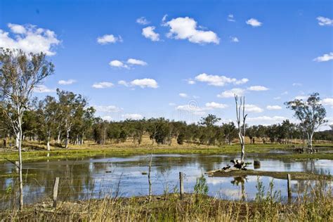 Outback Billabong Queensland Australia Stock Image Image Of