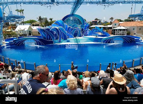 Shamu Stadium Water Basin For Killer Whales Orcas Orcinus Orca