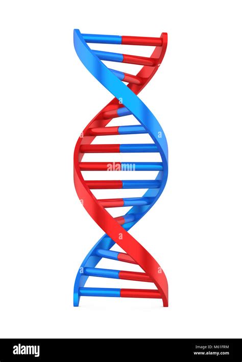 Dna Molecule Illustration Stock Photo Alamy