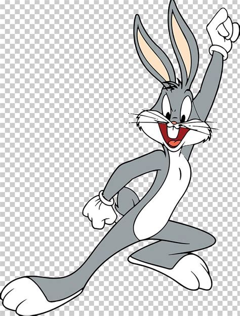 Bugs Bunny Daffy Duck Cartoon PNG - Free Download | Bugs bunny, Duck ...