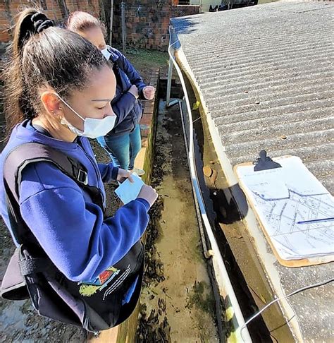 Cachoeira Registrou Novos Casos De Dengue Nos Ltimos Dias