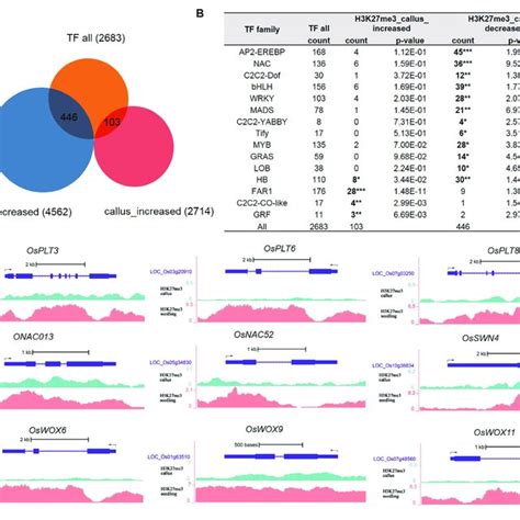 Transcription Factor Analysis Of Genes Deposited By H3k27me3 In