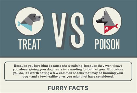 Treat or Poison for your Dog | beingstray.com