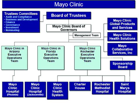 Organizational Chart For Clinic