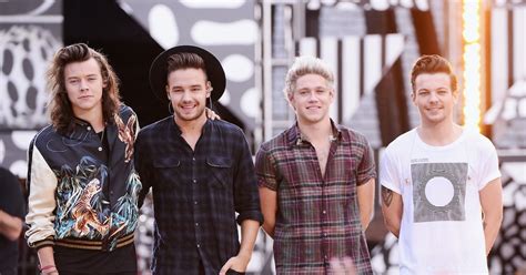 Niall Horan Confirms One Direction Is Going On Hiatus In 2016 But Here