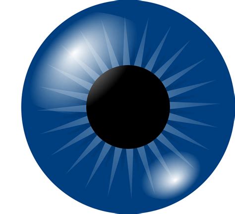 Free Blue Eye Vector Art Download 7074 Blue Eye Icons And Graphics