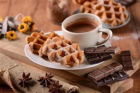 Waffles with chocolate stock photo. Image of cocoa, closeup - 69719698