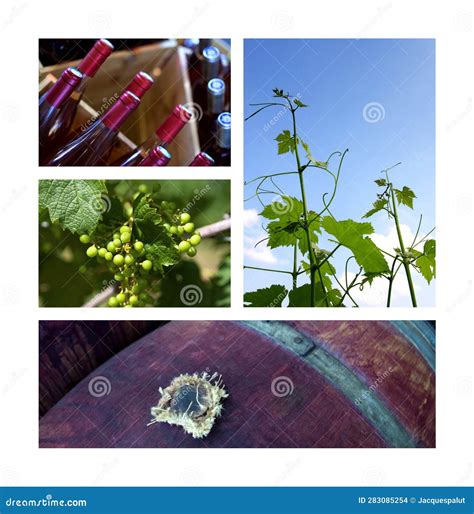 Interior And Exterior Of Wineries In South West Of France Stock Photo