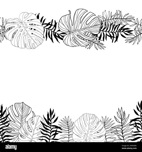 Frame With Tropical Jungle Leaves Hand Drawn Black And White