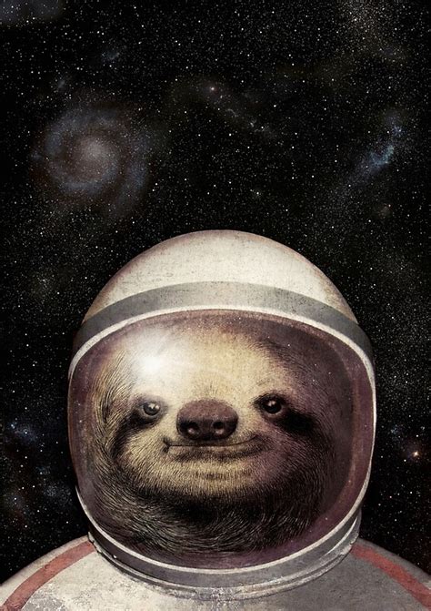 "Space Sloth" by Eric Fan | Redbubble