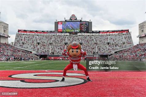 Ohio State Buckeyes Mascot Photos and Premium High Res Pictures - Getty ...