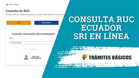 Sri Consulta Ruc En L Nea Ecuador Actualizado Youtube