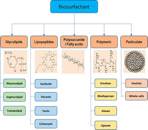 Frontiers Biosurfactants Potential Agents For Controlling Cellular