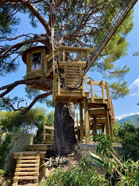 Enchanting Luxury Treehouse Adventures