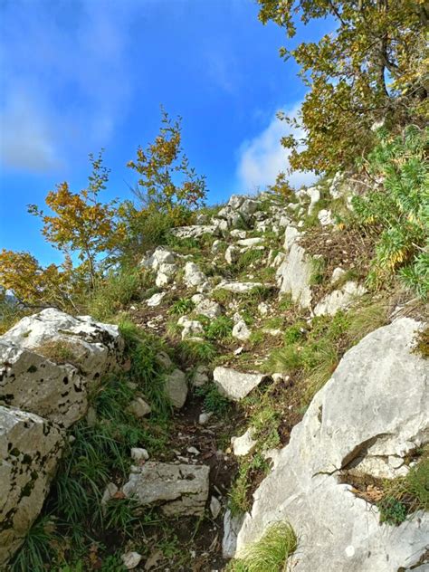 Petruro Di Forino Grotta Di San Michele Ammappalitalia