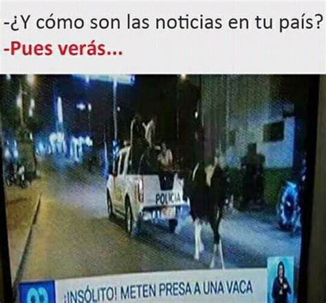 Como Son Las Noticias En Tu Pais Memes Funny Memes Humor