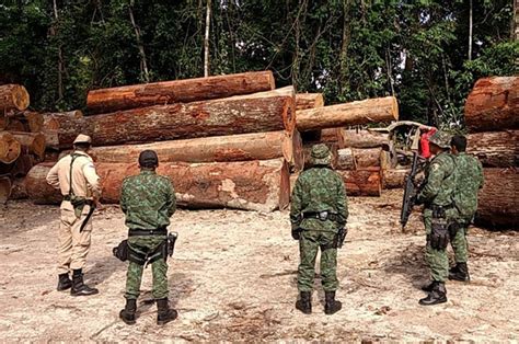 Esquema de propina no AM tinha códigos como melancia e calmante