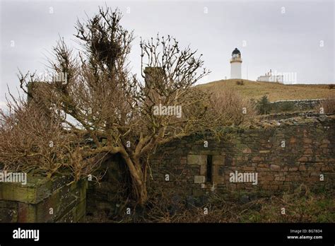 Derelict buildings and lighthouse Little Ross Island, Scotland Stock Photo - Alamy