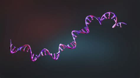 Nat Biotech 中科院杨辉组通过靶向rna降解的高保真cas13变体降低副作用 知乎