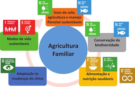 Relação entre os serviços e funcionalidades da agricultura familiar