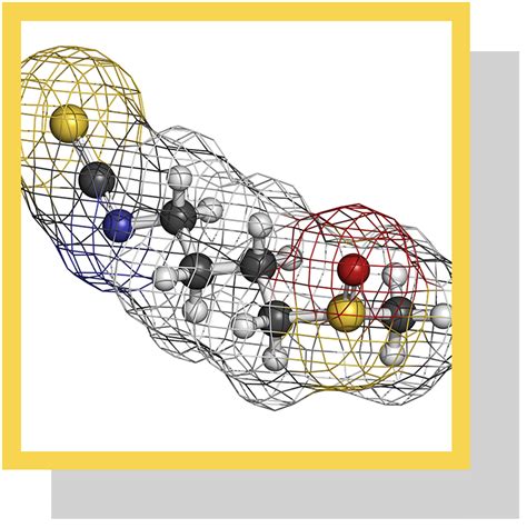 Isothiocyanates caractéristiques et modes d action Nutrixeal Info