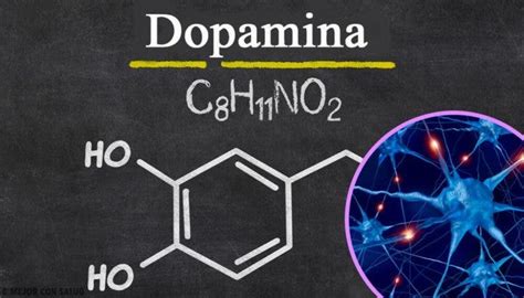 Suplementos Para Incrementar La Dopamina E Impulsar Tu Estado De Nimo