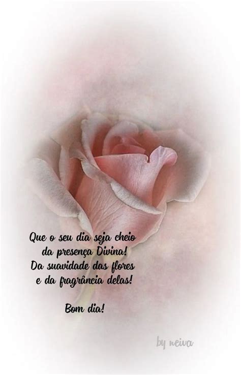 A Pink Rose With The Words Born In Spanish