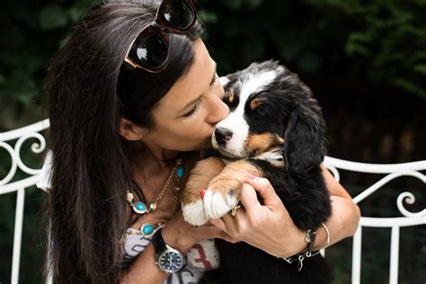 Kontakt Berner Sennenhunde Zürihorn