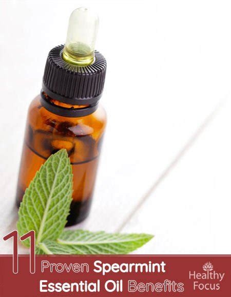 11 Proven Spearmint Essential Oil Benefits Healthy Focus