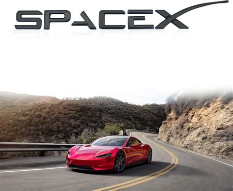 Amazon Onkentet Spacex Emblem Decal Sticker Compatible With Tesla