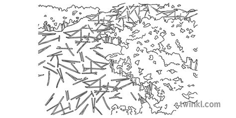 Deforestation Black And White Illustration Twinkl