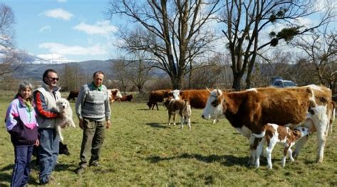 Parco Nazionale Gran Sasso Progetto Praterie Il Cane Da Gregge