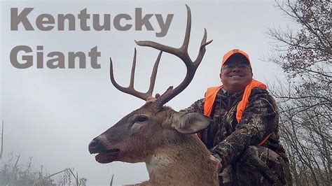 A Giant Kentucky Buck Deer Hunting In Kentucky Deer Hunting Fields From A Ground Blind Youtube