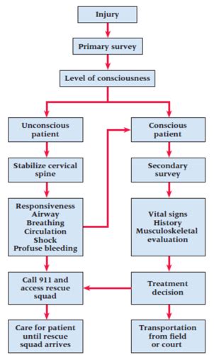 Introduction To Initial Injury Care Flashcards Quizlet
