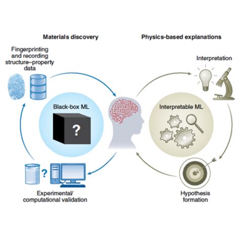 Interpretable Machine Learning To Identify Structure Activity