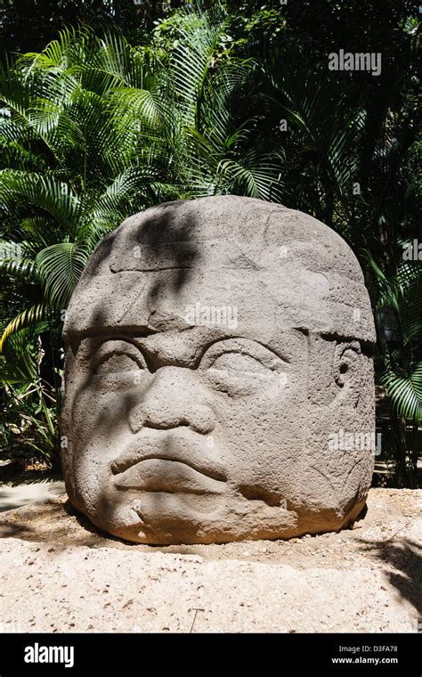 Olmec Sculpture La Venta Stock Photos Olmec Sculpture La Venta Stock