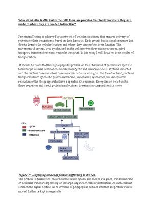 Metabolism Mcqs The Aim Of This Part Of The Module Is To Introduce