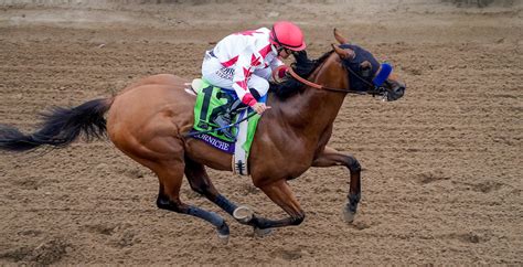 Corniche Remains Perfect, Wins TVG Breeders’ Cup Juvenile Presented by ...