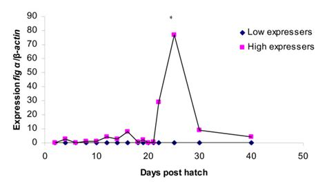 Expression of fig α in whole juvenile zebrafish homogenate during sex Download Scientific