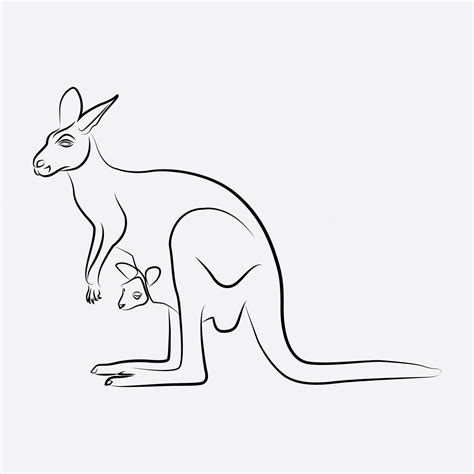 Premium Vector | Kangaroo animal line art