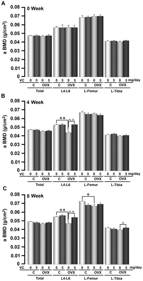 Bone Mineral Density BMD Measurements By Piximus GE Lunar At The