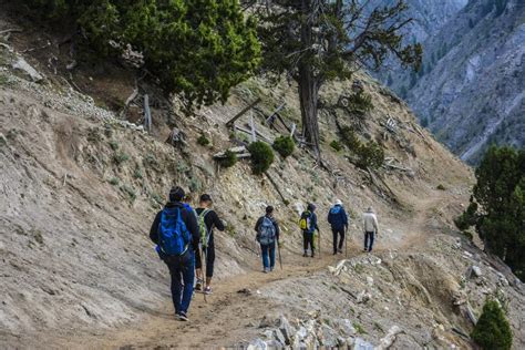 Group of Travelers Trekking Back from Fairy Meadows Editorial Image ...