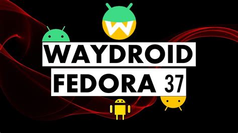 How To Install Waydroid On Fedora Workstation Waydroid In Fedora