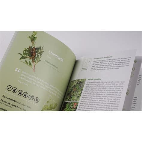 El Llibre De Les Plantes Silvestres Comestibles