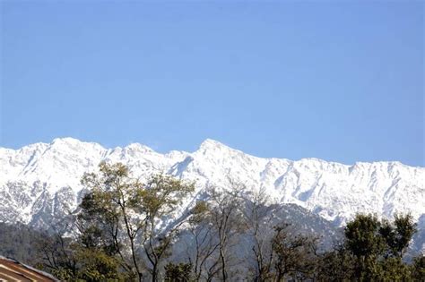 Palampur In Himachal Pradesh How To Reach Tourism Climate Artofit