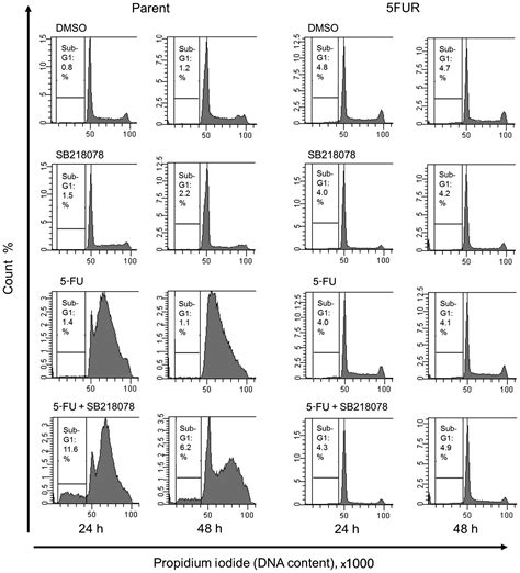 5 Fu Resistance Abrogates The Amplified Cytotoxic Effects Induced By Inhibiting Checkpoint