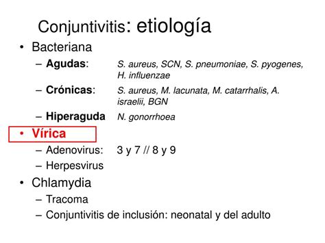 Ppt Tema Diagn Stico Microbiol Gico De Powerpoint Presentation